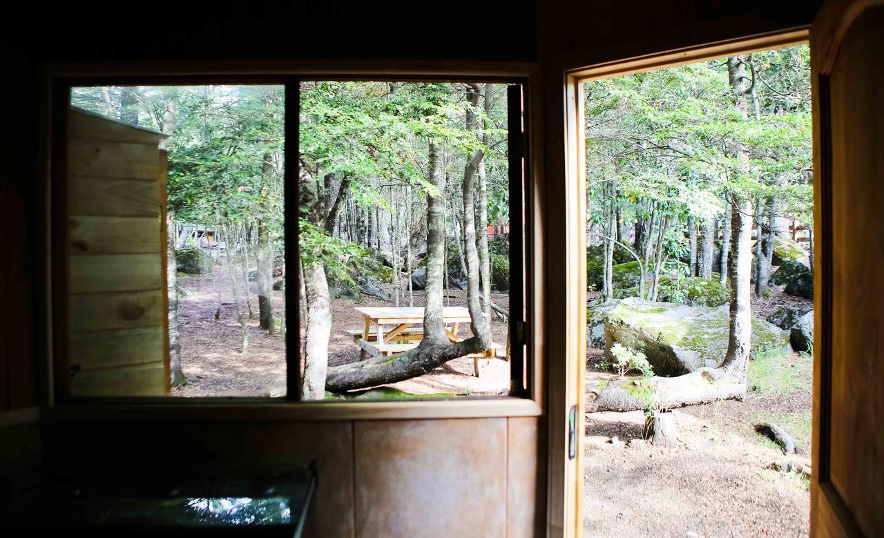 Llaima Camp