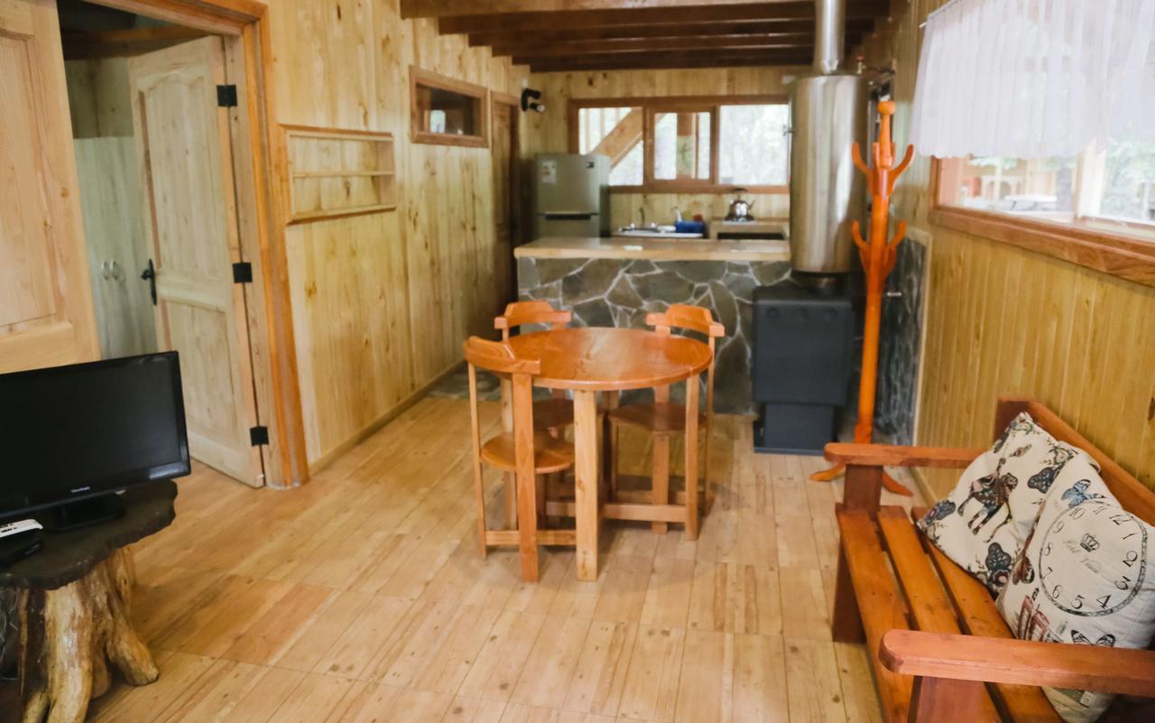 Llaima Camp